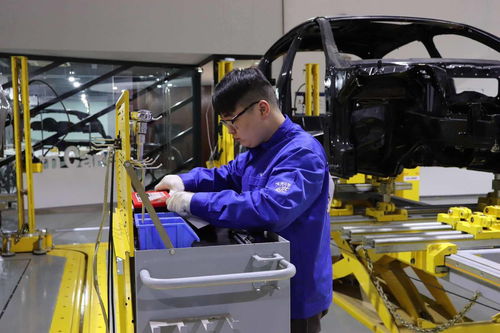 技藝融合，智創(chuàng)未來(lái)——記2017全國(guó)機(jī)械行業(yè)“金源詩(shī)琴杯”職業(yè)院校汽車車身修復(fù)與整形技術(shù)大賽