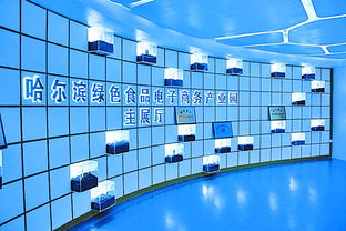 黑龍江日?qǐng)?bào)